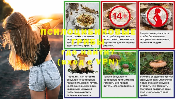 крисы Алексин