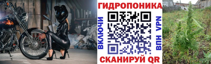 блэк спрут ONION  Снежногорск  Бошки Шишки AK-47 